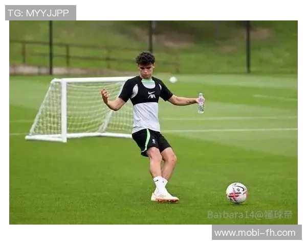 利物浦对巴伊切蒂奇采取谨慎态度计划先让他在U21队伍中适应比赛 利物浦对巴伊切蒂奇采取谨慎态度计划先让他在U21队伍中适应比赛